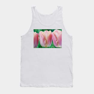 Tulipa  &#39;Apricot Beauty&#39;  AGM    Single Early Group Tulip Tank Top